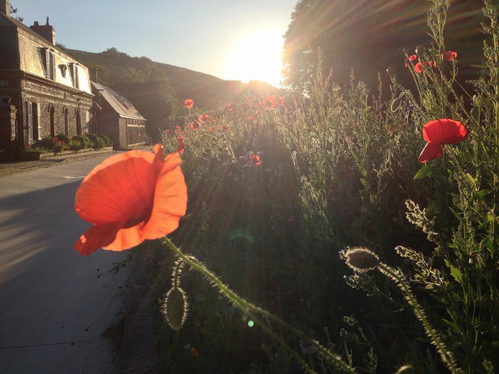 La Flore De Lys, Cottage Ideal Pour 2 Adultes Et 2 Enfants Saint-Jouin-Bruneval Bilik gambar