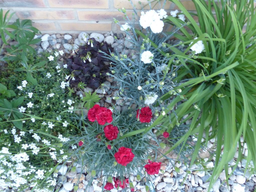 La Flore De Lys, Cottage Ideal Pour 2 Adultes Et 2 Enfants Saint-Jouin-Bruneval Bilik gambar